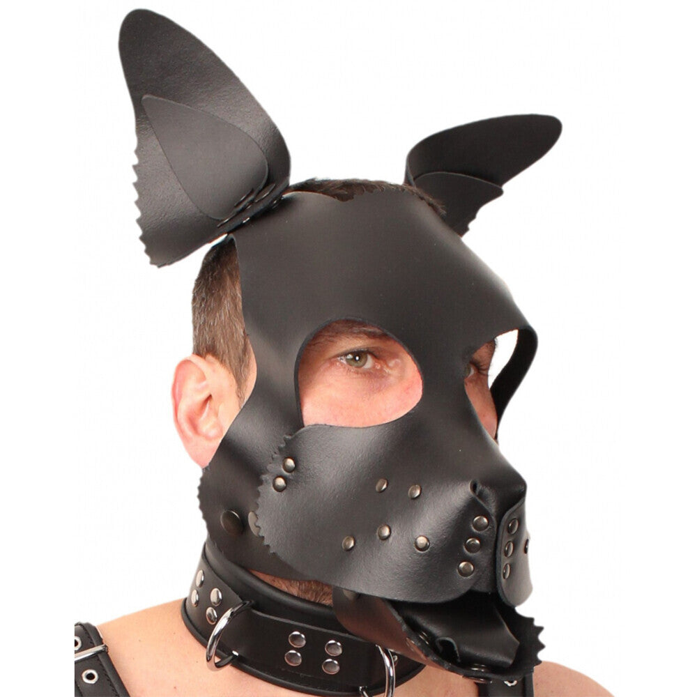 The Red Leather Puppy Dog Mask - Tease & Please